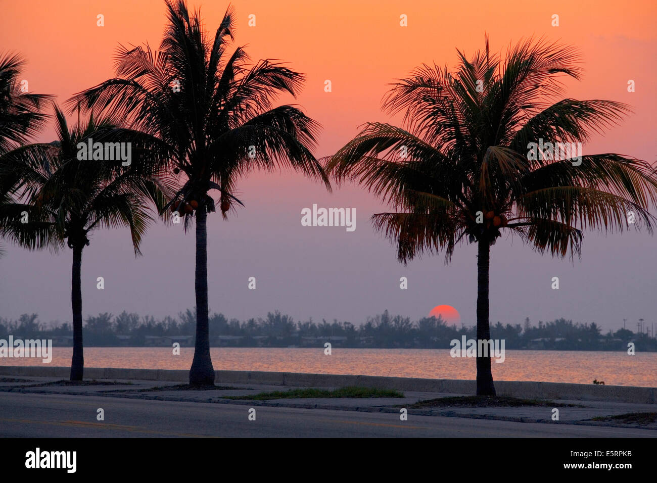 Sonnenuntergang in Key West, Florida, USA Stockfoto