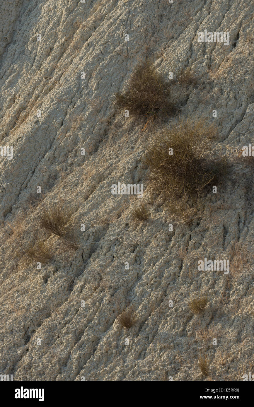 Trockenes Land eingehend geschützte Naturlandschaft Barrancos de Gebas Stockfoto