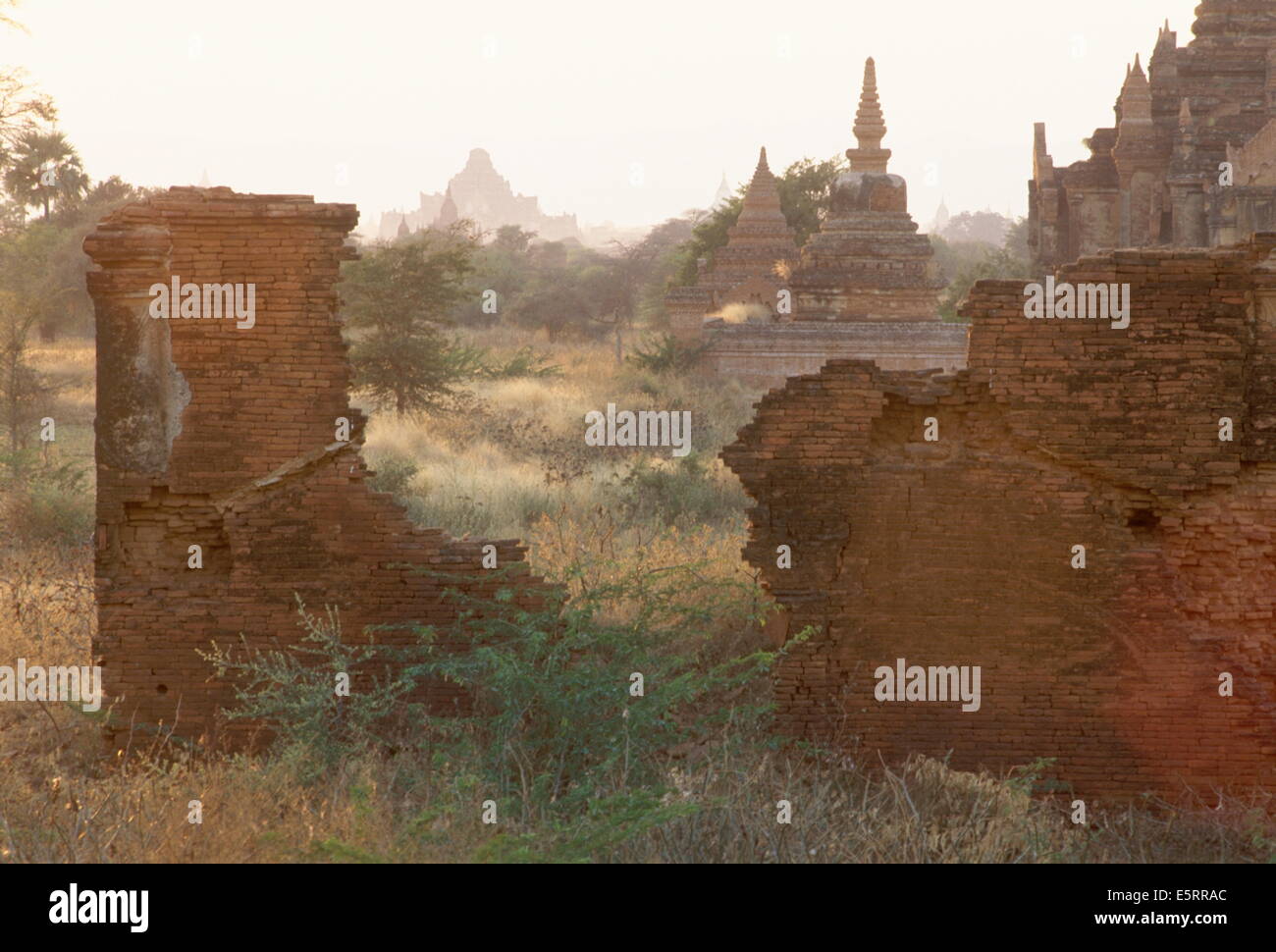 Leymyethna, Pagan, Burma. Stockfoto