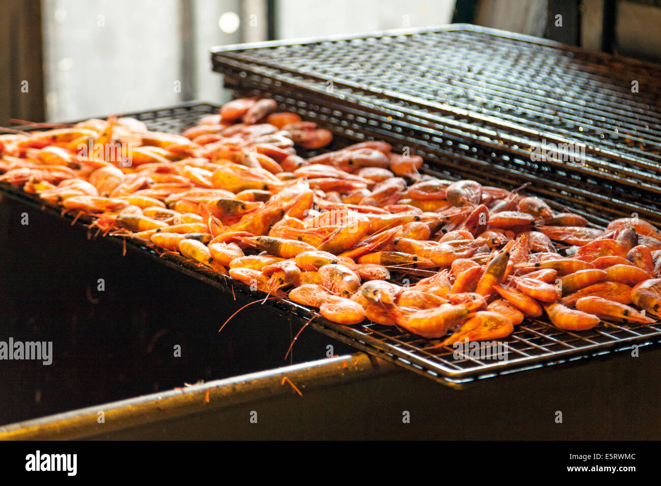 Rauchen-Garnelen im Rauch Ofen bei Åstols Rökeri oder Räucherei auf der Insel Åstol, Bohuslän, Västra Götaland Iän, Schweden. Stockfoto