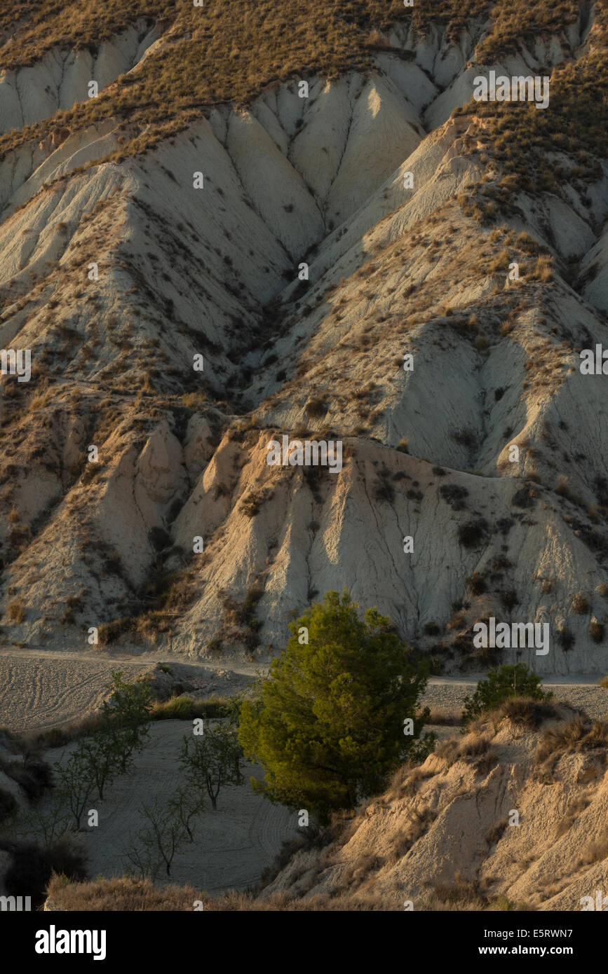 Geschützte Naturlandschaft Barrancos de Gebas Stockfoto