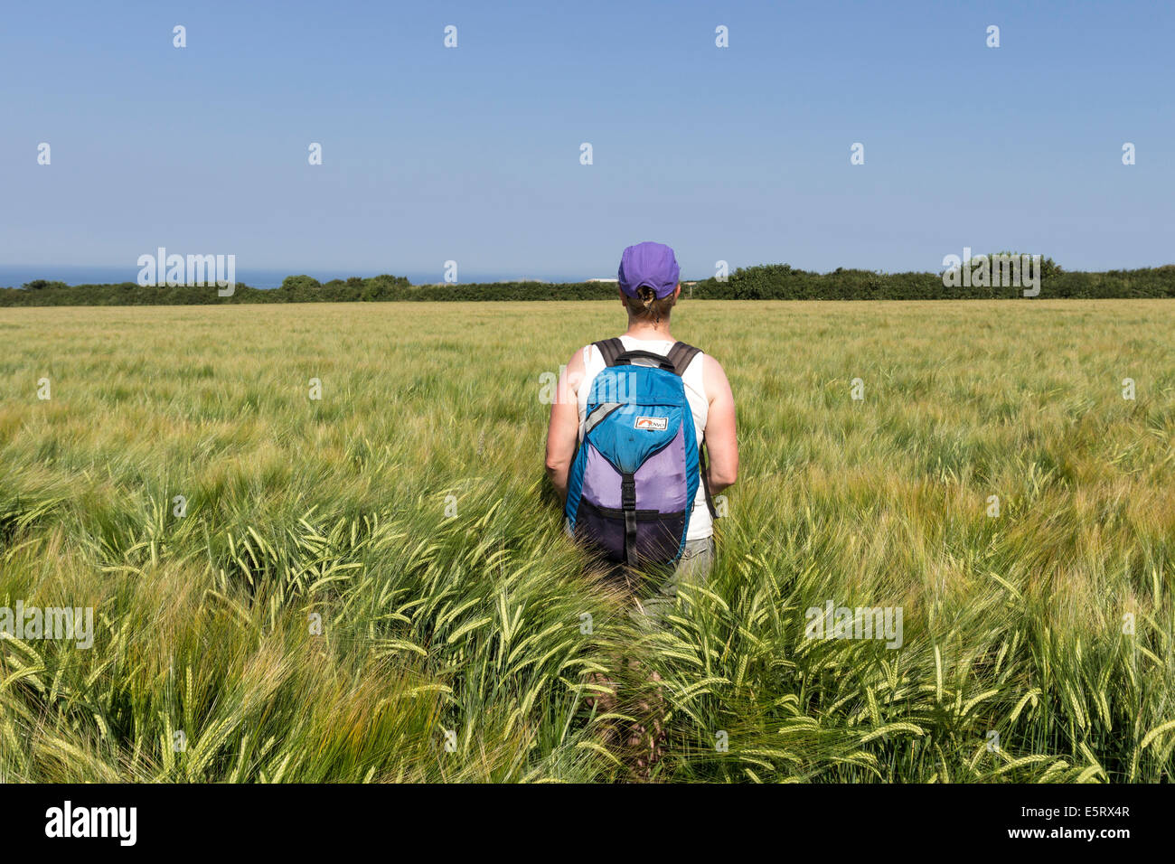 Walker auf einem öffentlichen Wanderweg mit Pflanzen in der Nähe von Boscastle in Cornwall England behindert Stockfoto