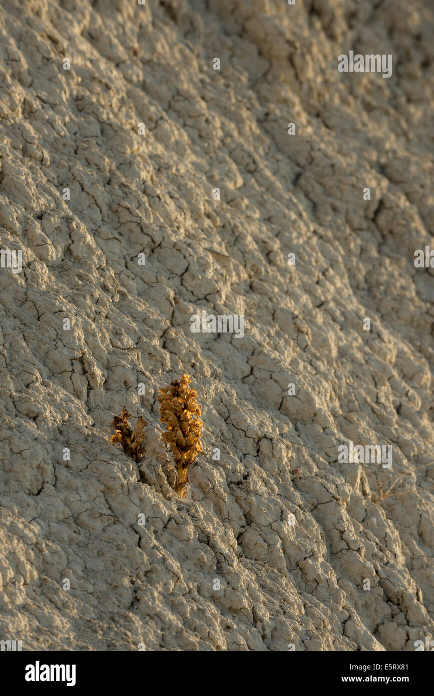 Trockenes Land eingehend geschützte Naturlandschaft Barrancos de Gebas Stockfoto