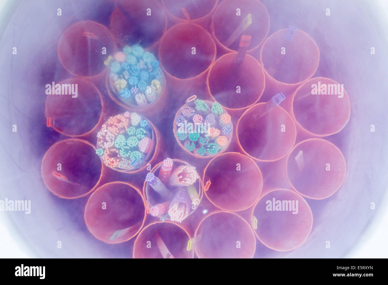Kryokonservierung von Tiefgefriersperma Strohhalme und Embryonen in flüssigem Stickstoff, medizinisch assistierte Fortpflanzung Labor (CECOS), Stockfoto