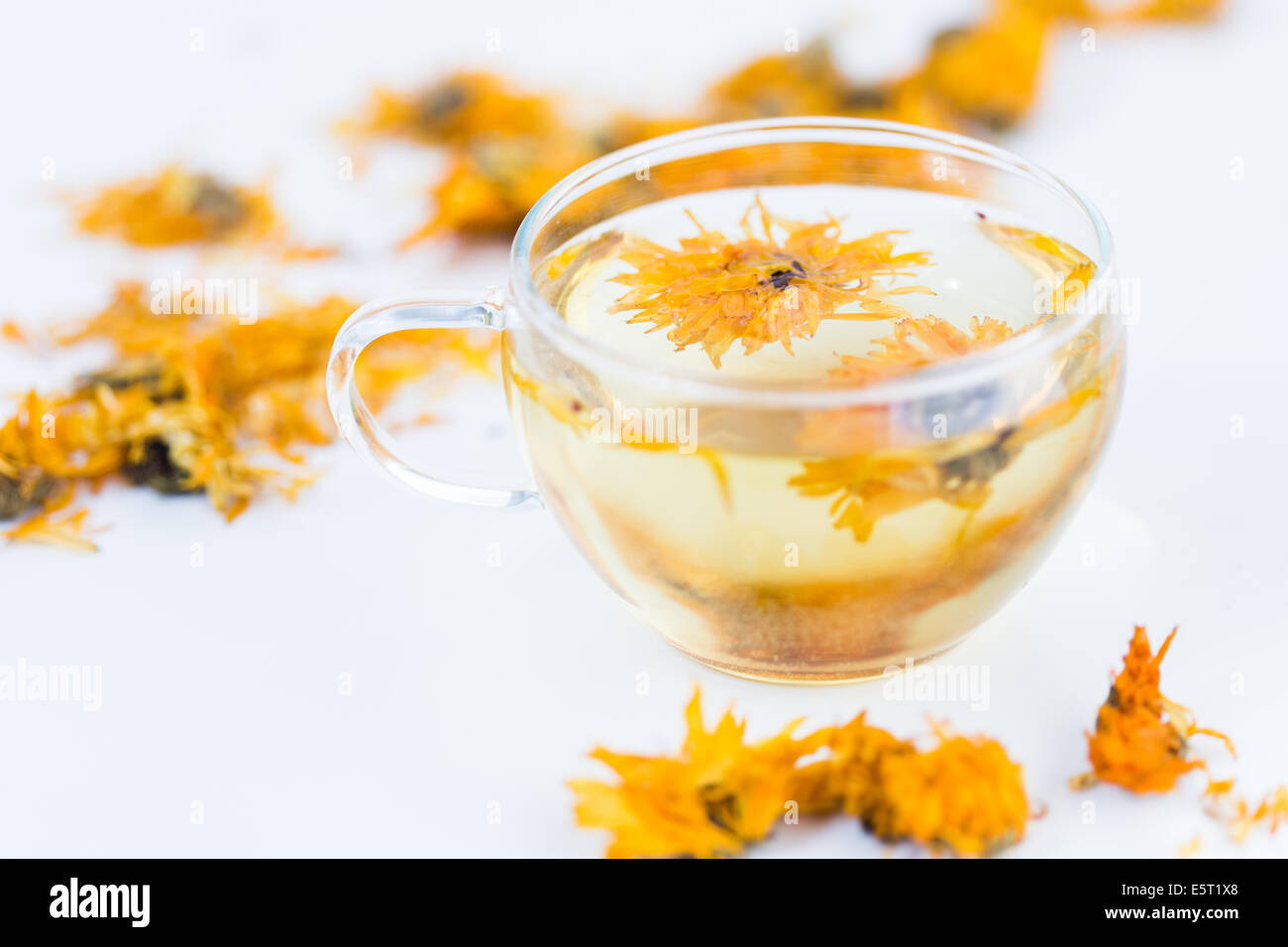 Ringelblume Blüten Kraut (Calendula Officinalis) Infusion. Stockfoto