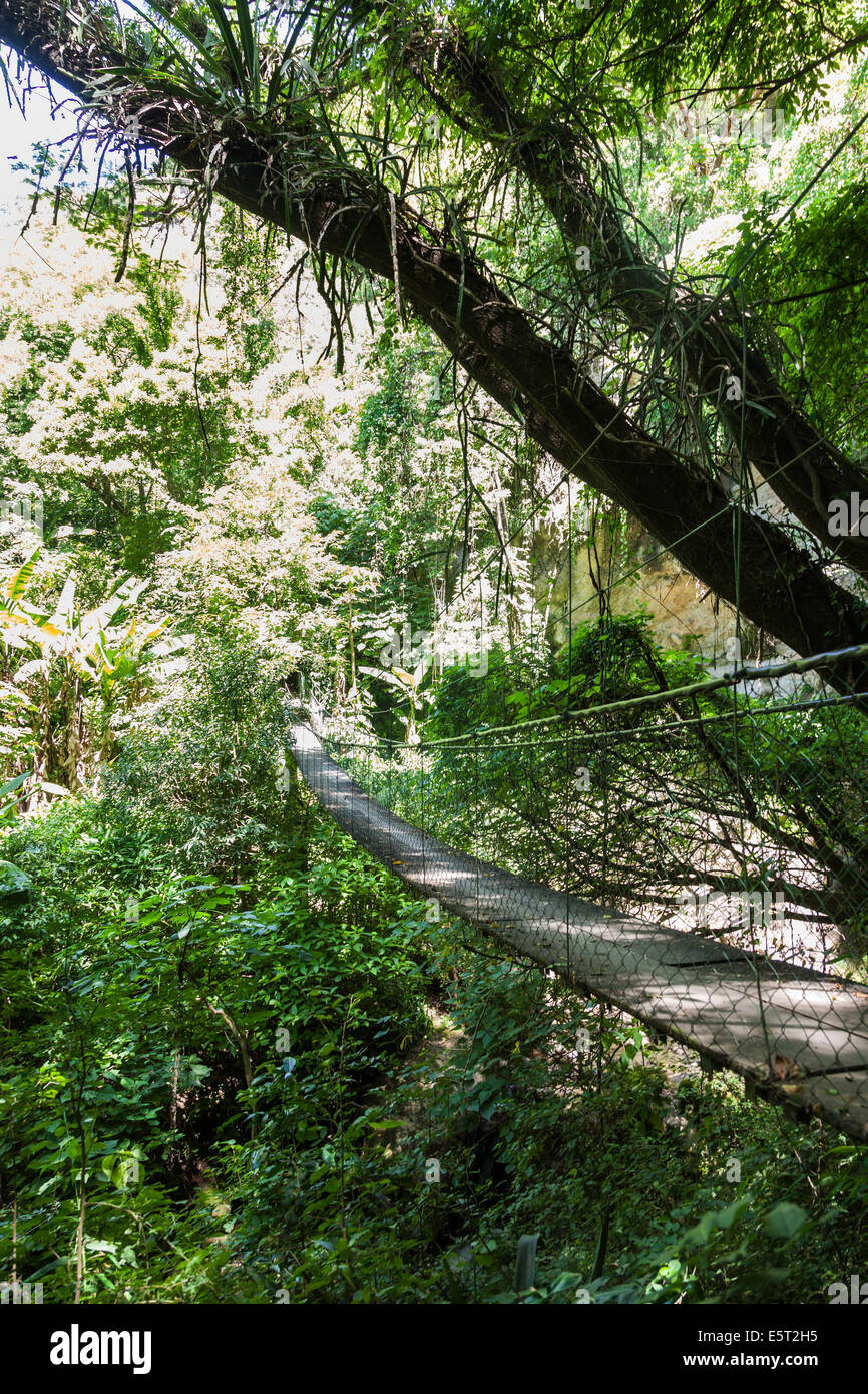 Hängebrücke in einem Regenwald und Guatemala Stockfotografie - Alamy