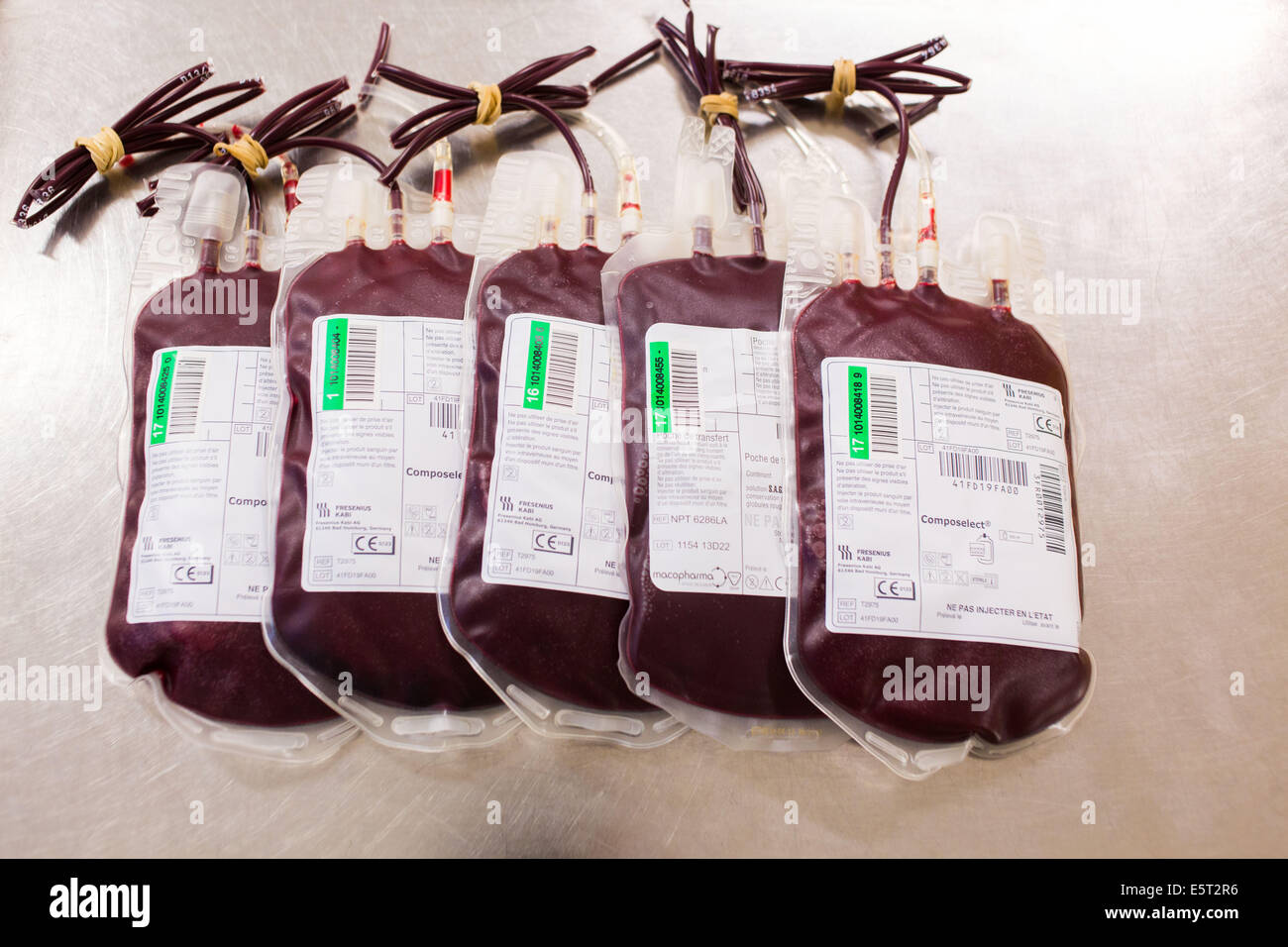 Blutbeutel, Spenderblut Verarbeitung, Armee-Bluttransfusion-Service (CTSA) in Clamart, Frankreich. Stockfoto