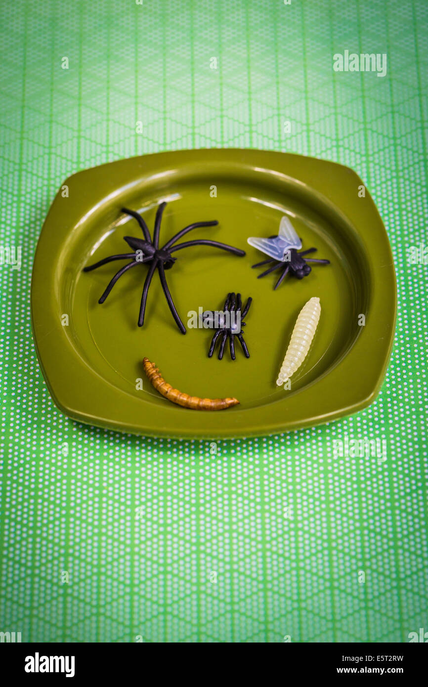 Kunststoff Insekten in eine Platte, saugenden, Konzeptbild. Stockfoto