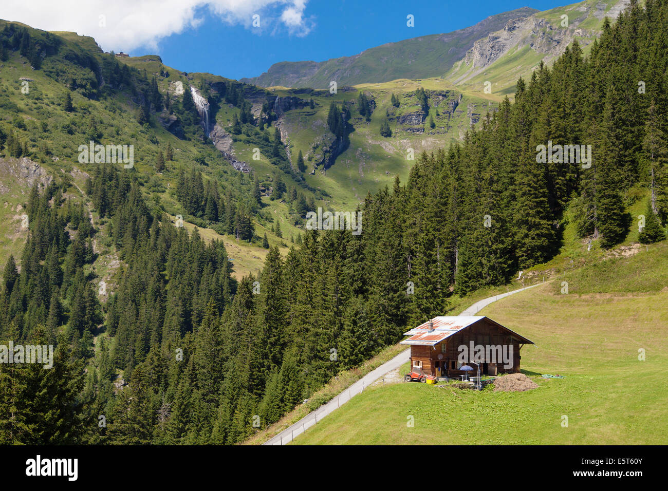 Hütte im Tal von Grindelwald, Schweizer Alpen. Stockfoto