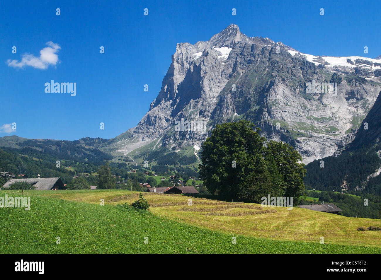 Mount Wetterhorn in den Schweizer Alpen. Stockfoto