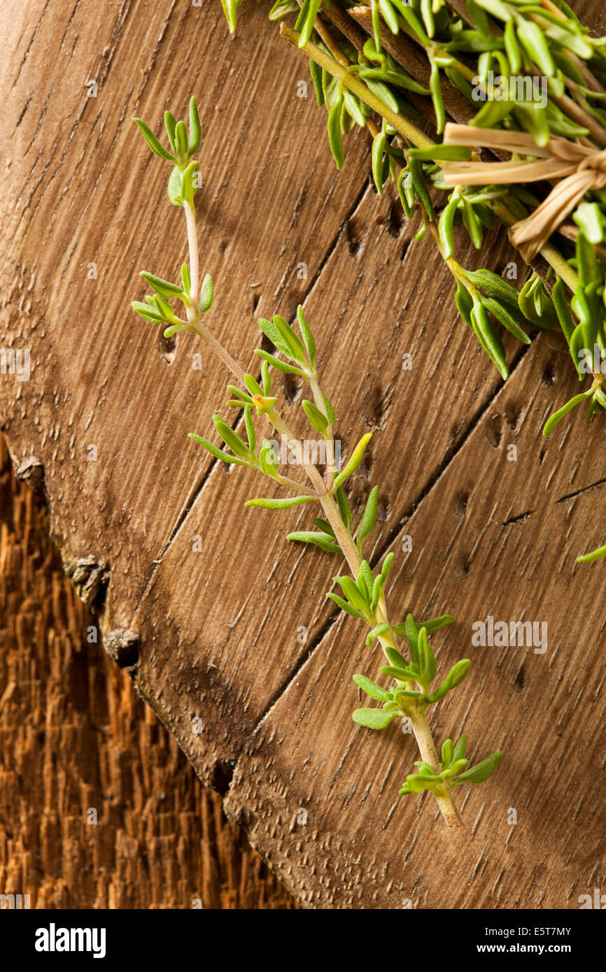 Rohe Bio grüne Thymian in einem Bündel Stockfoto