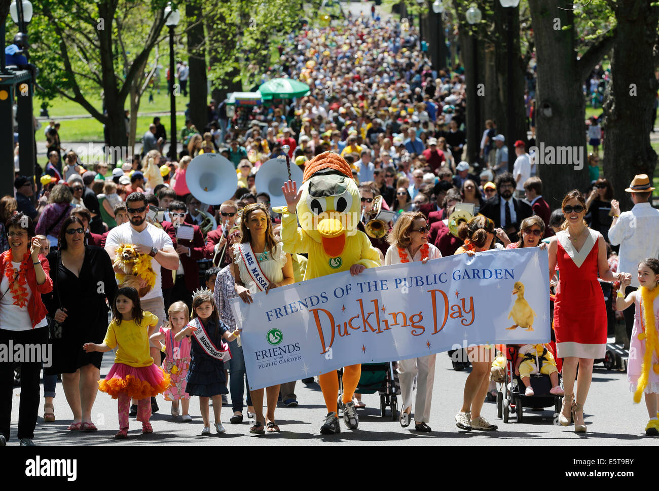 Freunde des öffentlichen Gartens gesponserten Veranstaltung unter dem Motto Parade machen Weg für Entenküken Buch, Boston, Massachusetts Stockfoto