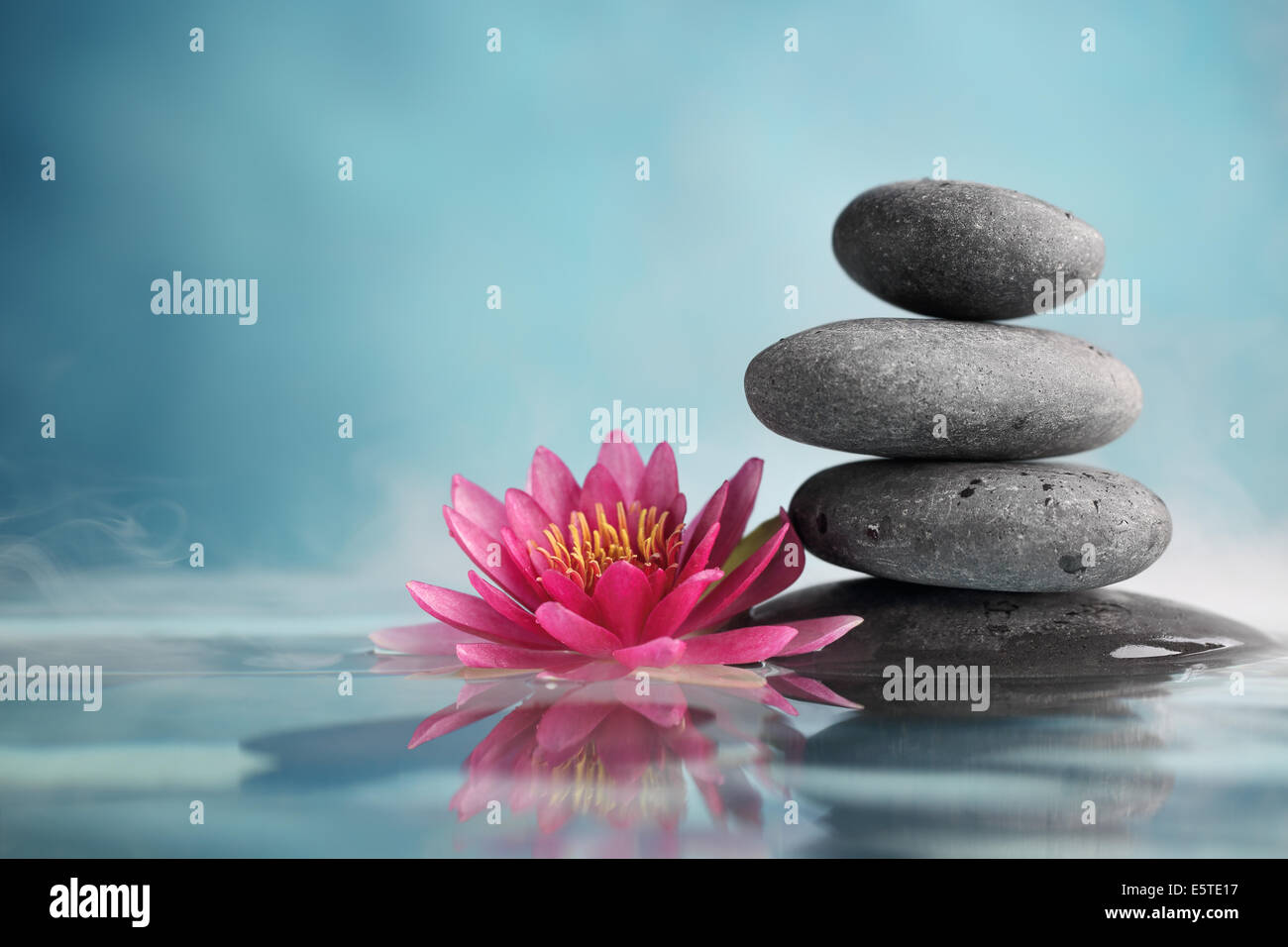 Spa-Stillleben mit Seerosen und Zen Stone in einem Ruhe-pool Stockfoto