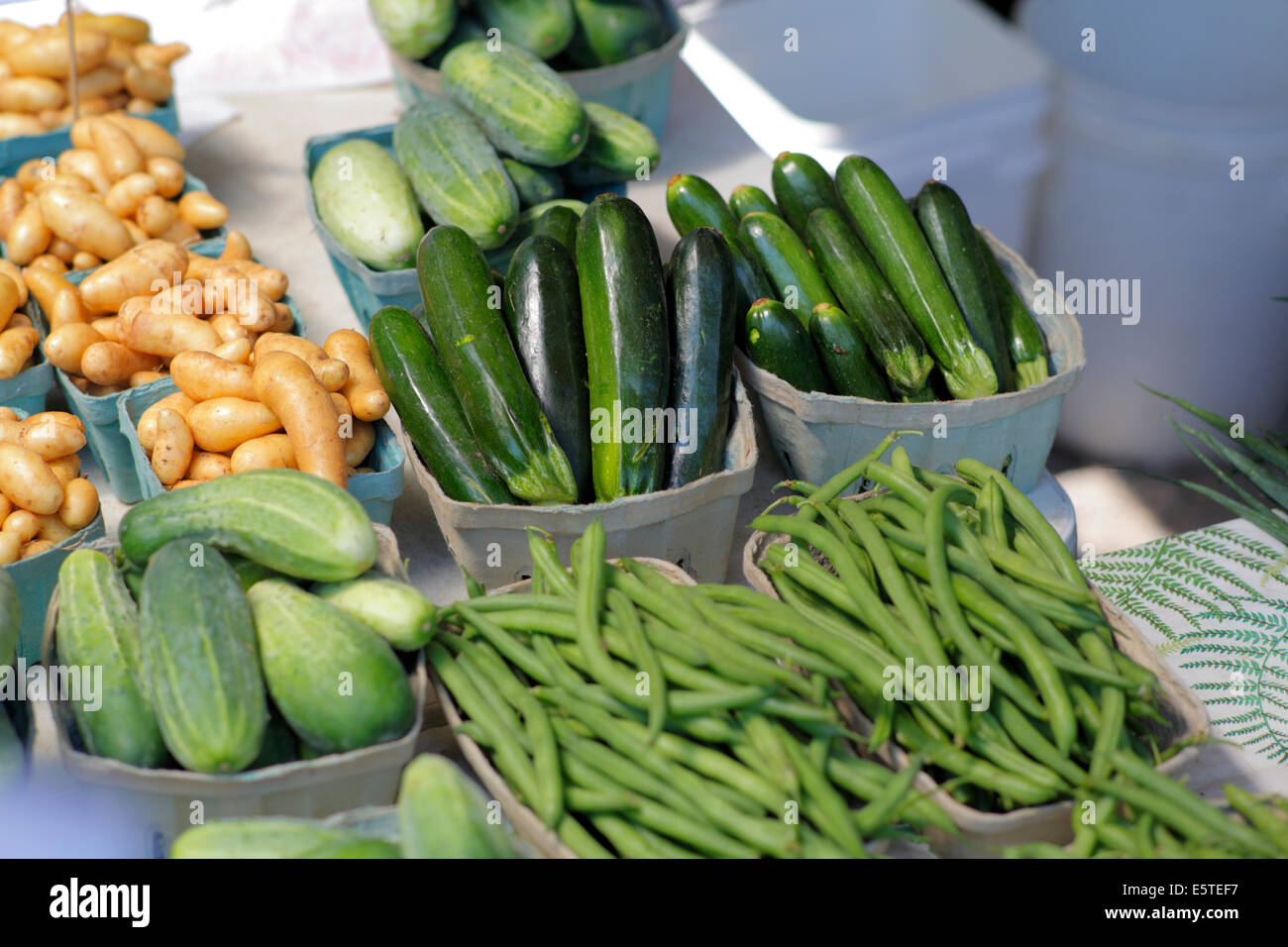 Grüne Bohnen, Zucchini, Gurken und kleine Kartoffeln. Stockfoto