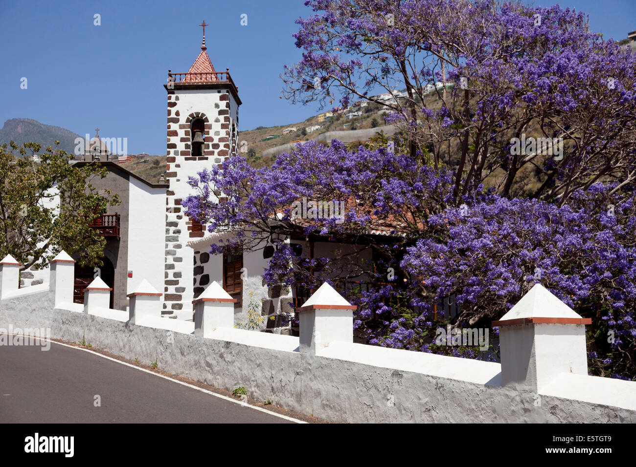 Die Kirche Nuestra Senora de Las Angustias und einem blauen Jacaranda-Baum (Jacaranda Mimosifolia) mit lila Blüten Stockfoto