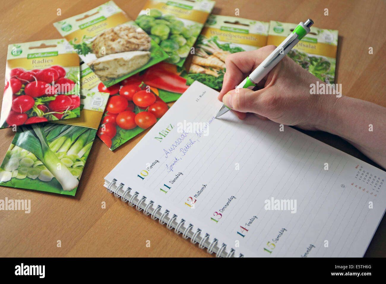 Aussaat Termine sind in einem Kalender neben Pakete von verschiedenen Samen zur Kenntnis genommen. Stockfoto