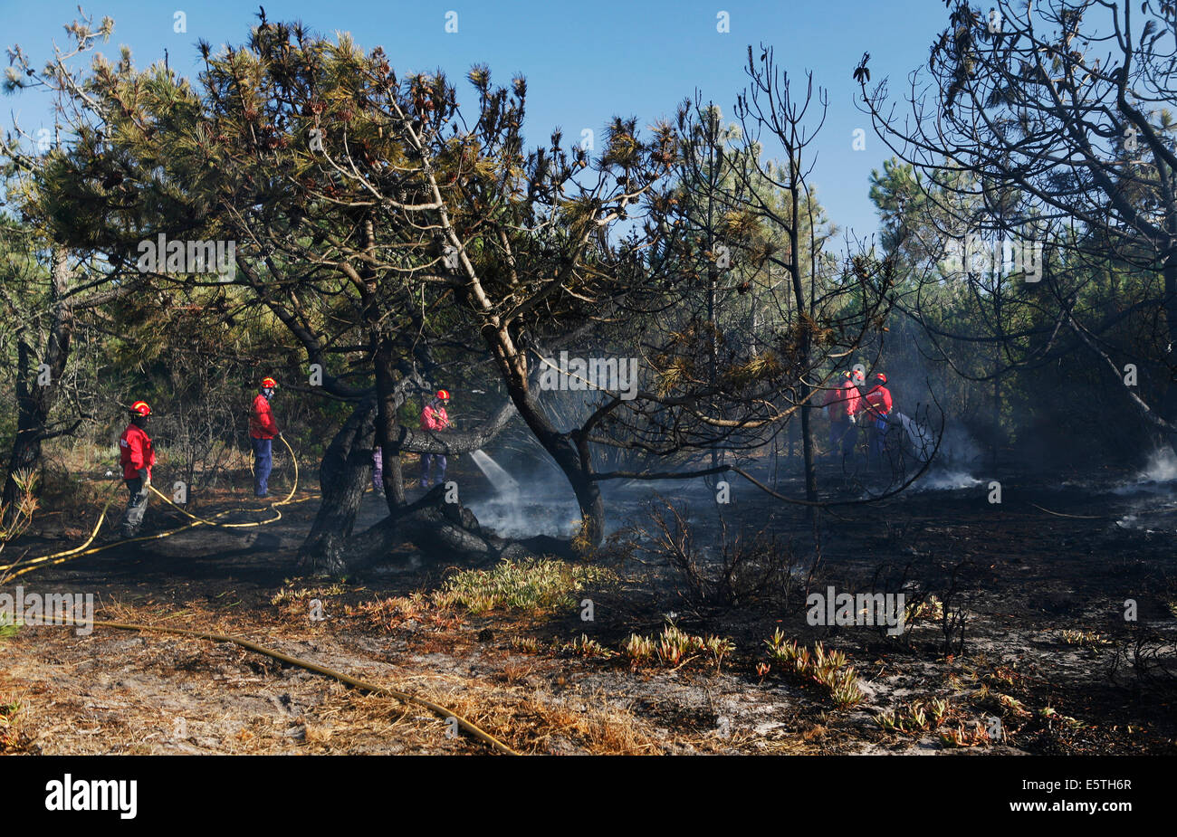 Feuerwehr eine Bush Feuer, in der Nähe von melides, Alentejo, Portugal Stockfoto