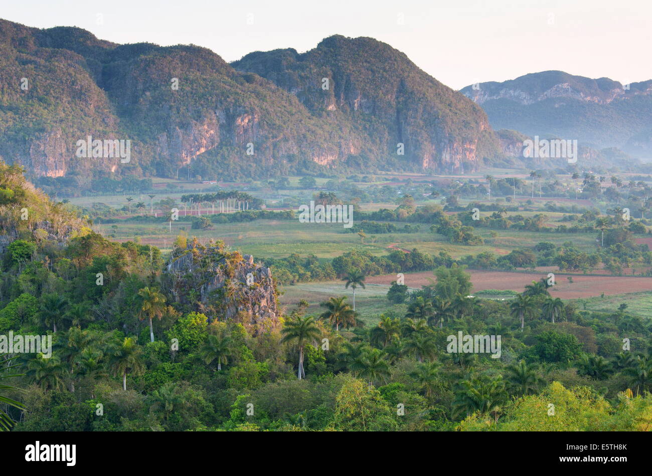 Vinales Tal, der UNESCO, gebadet im morgendlichen Sonnenlicht, Vinales, Pinar Del Rio, Kuba, West Indies, Karibik Stockfoto