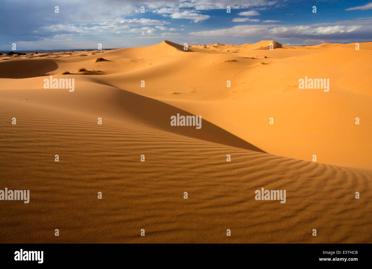 Orangefarbenen Dünen und Sand Wellen, Erg Chebbi Sand Meer, Sahara Wüste in der Nähe von Merzouga, Marokko, Nordafrika, Afrika Stockfoto