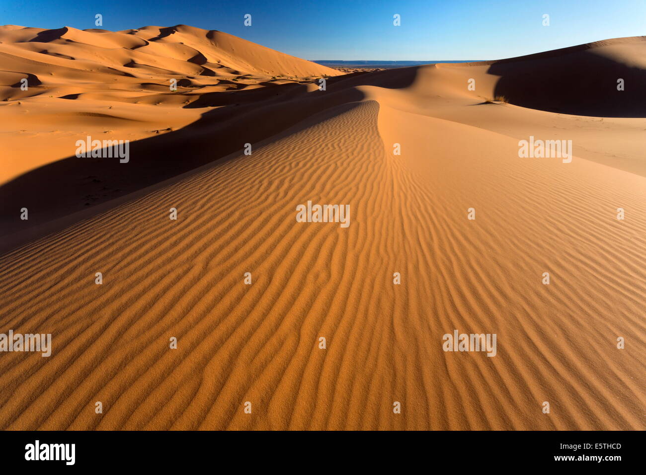 Orangefarbenen Dünen und Sand Wellen, Erg Chebbi Sand Meer, Sahara Wüste in der Nähe von Merzouga, Marokko, Nordafrika, Afrika Stockfoto