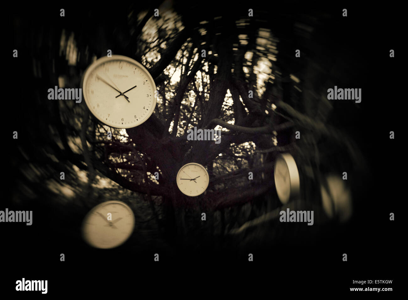 Zeit-Baum Stockfoto