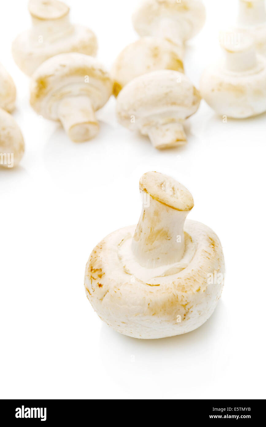 Frische essbare Portabello Pilz Champignon auf weißem Hintergrund mit Reflexion. Stockfoto