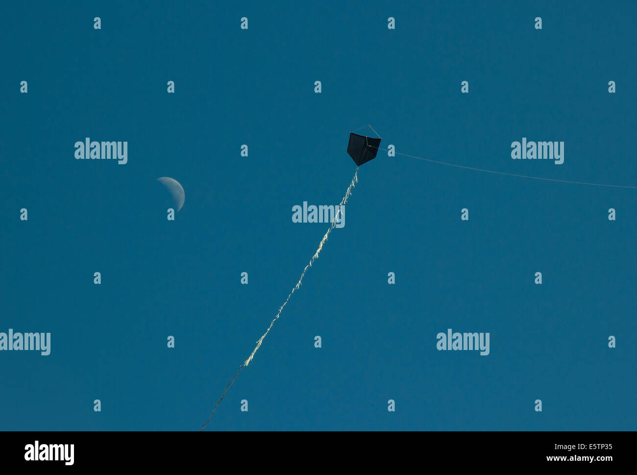 Gemeinsamen schwarzen Drachen fliegen mit dem Mond und blauer Himmel Stockfoto