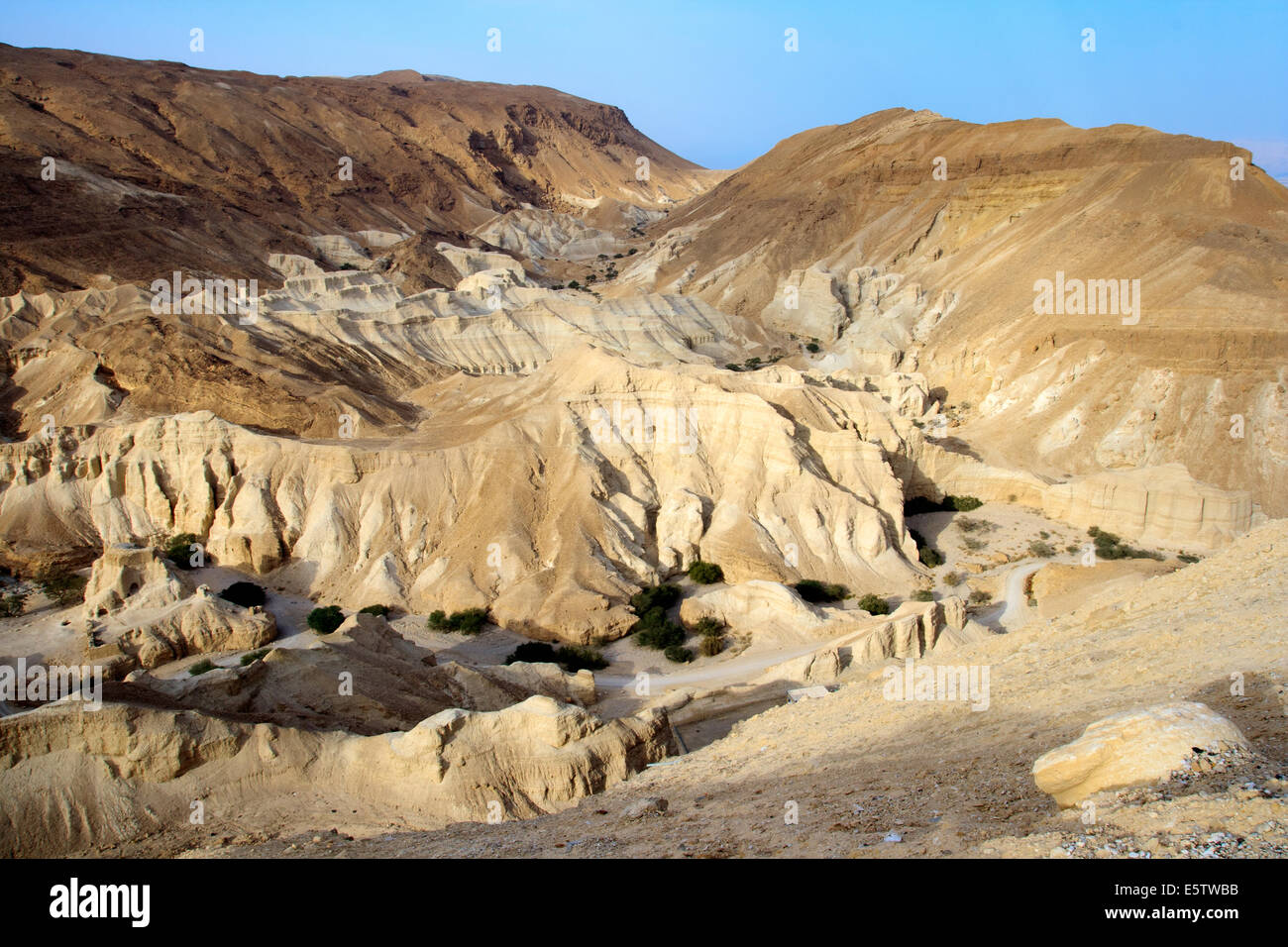 Negev-Wüste in der Nähe des Toten Meeres. Israel Stockfoto