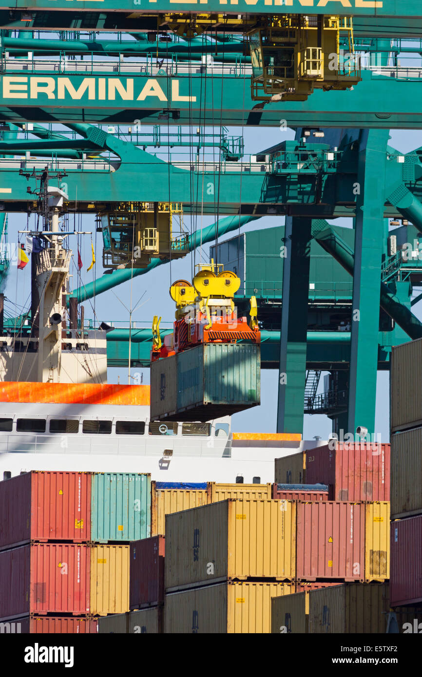 Containerschiff am MSC Home Terminal im Hafen von Antwerpen, Belgien entladen wird. Stockfoto
