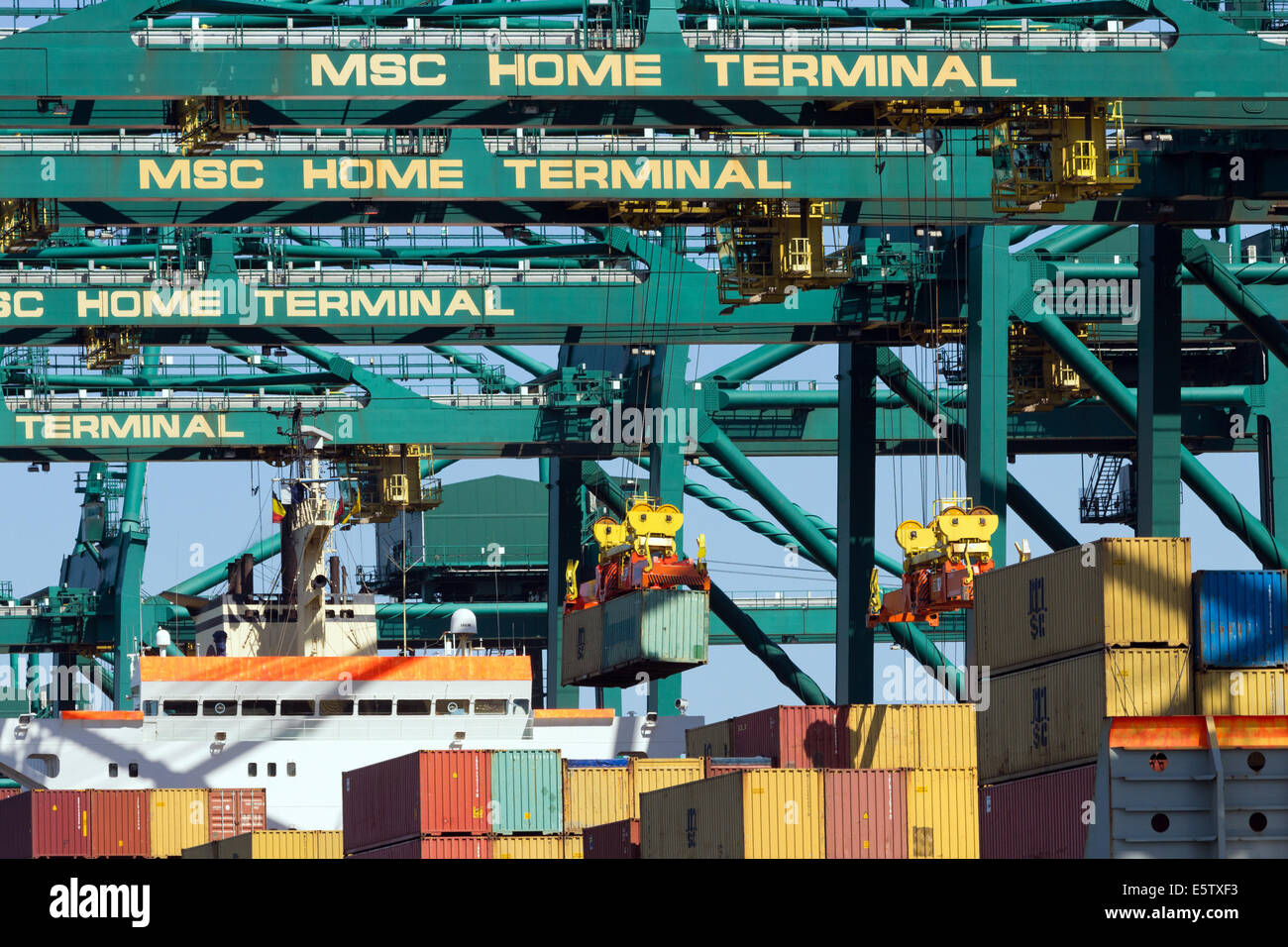 Containerschiff am MSC Home Terminal im Hafen von Antwerpen, Belgien entladen wird. Stockfoto