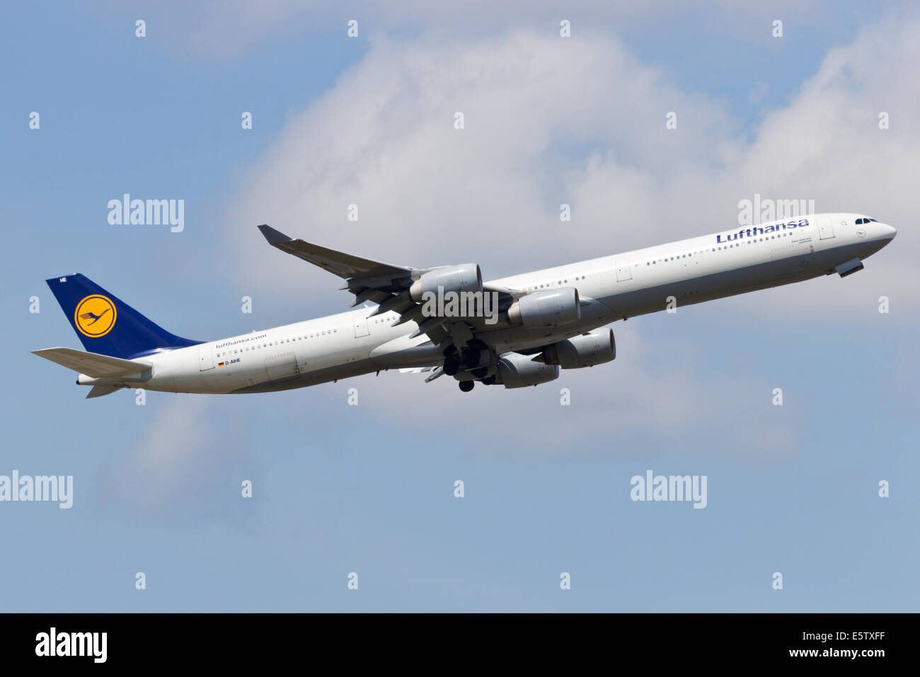 Lufthansa Airbus A340 abheben Stockfoto