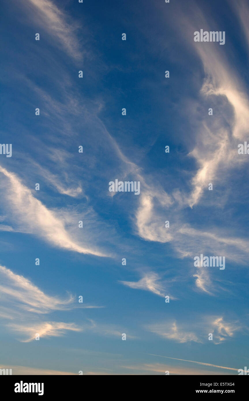 Ein Hauch von hohen Zirruswolken an einem Sommerabend Stockfoto