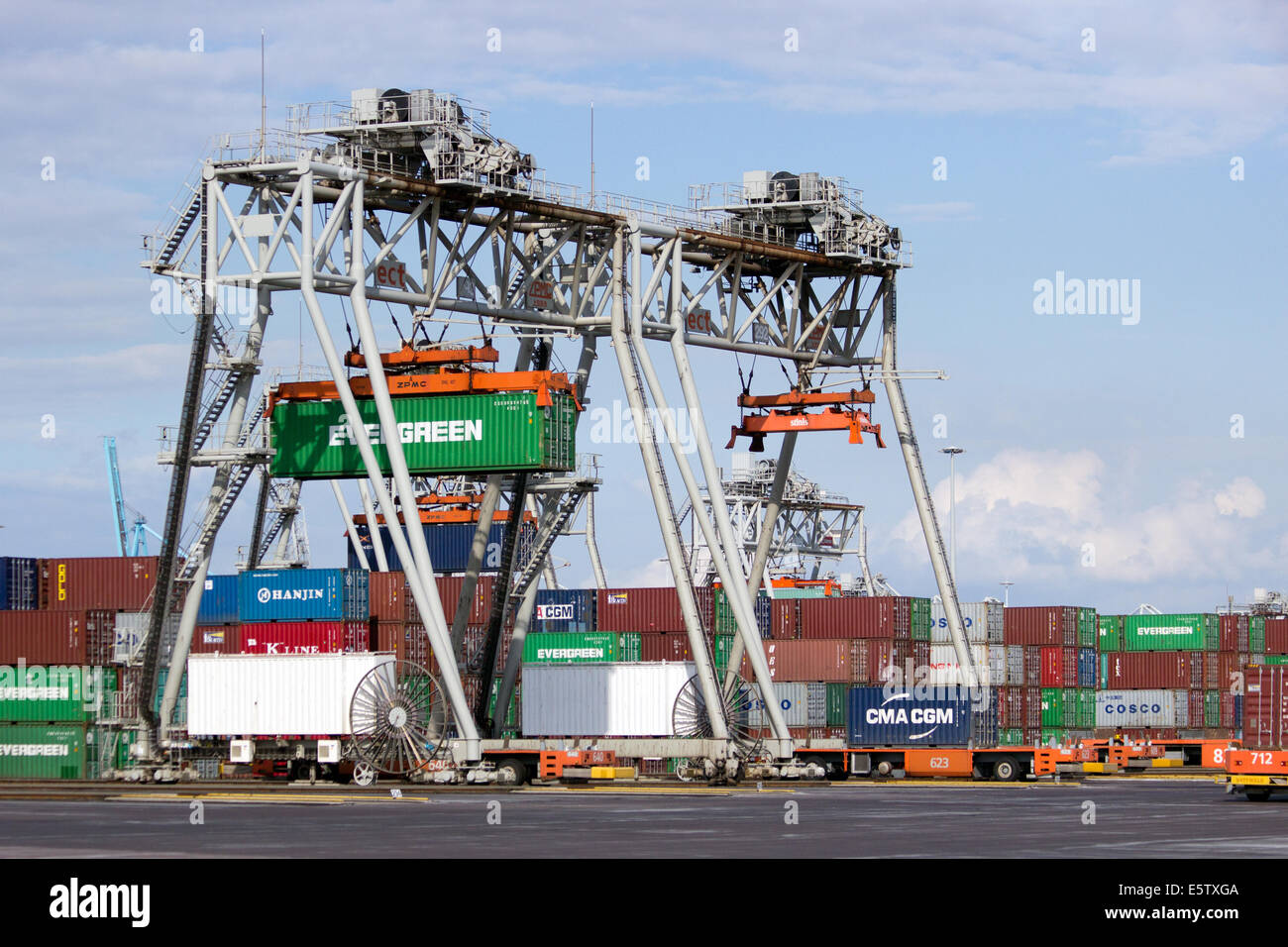 Container-terminal und Kräne im Hafen von Rotterdam, Niederlande. Stockfoto