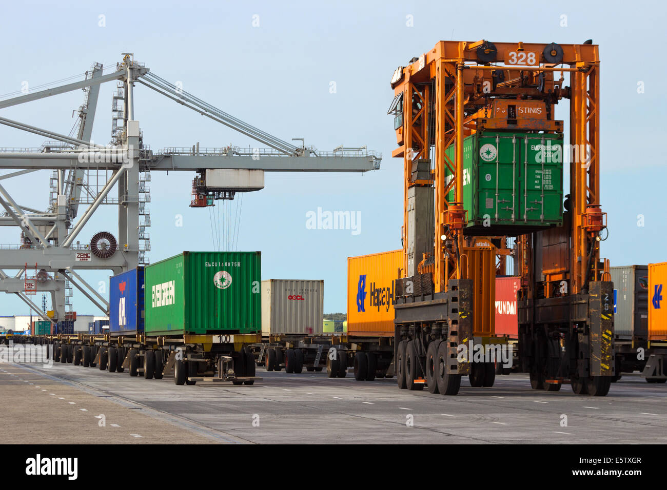 Mobile Container Spreader in Aktion auf einem Containerterminal in Rotterdam. Stockfoto