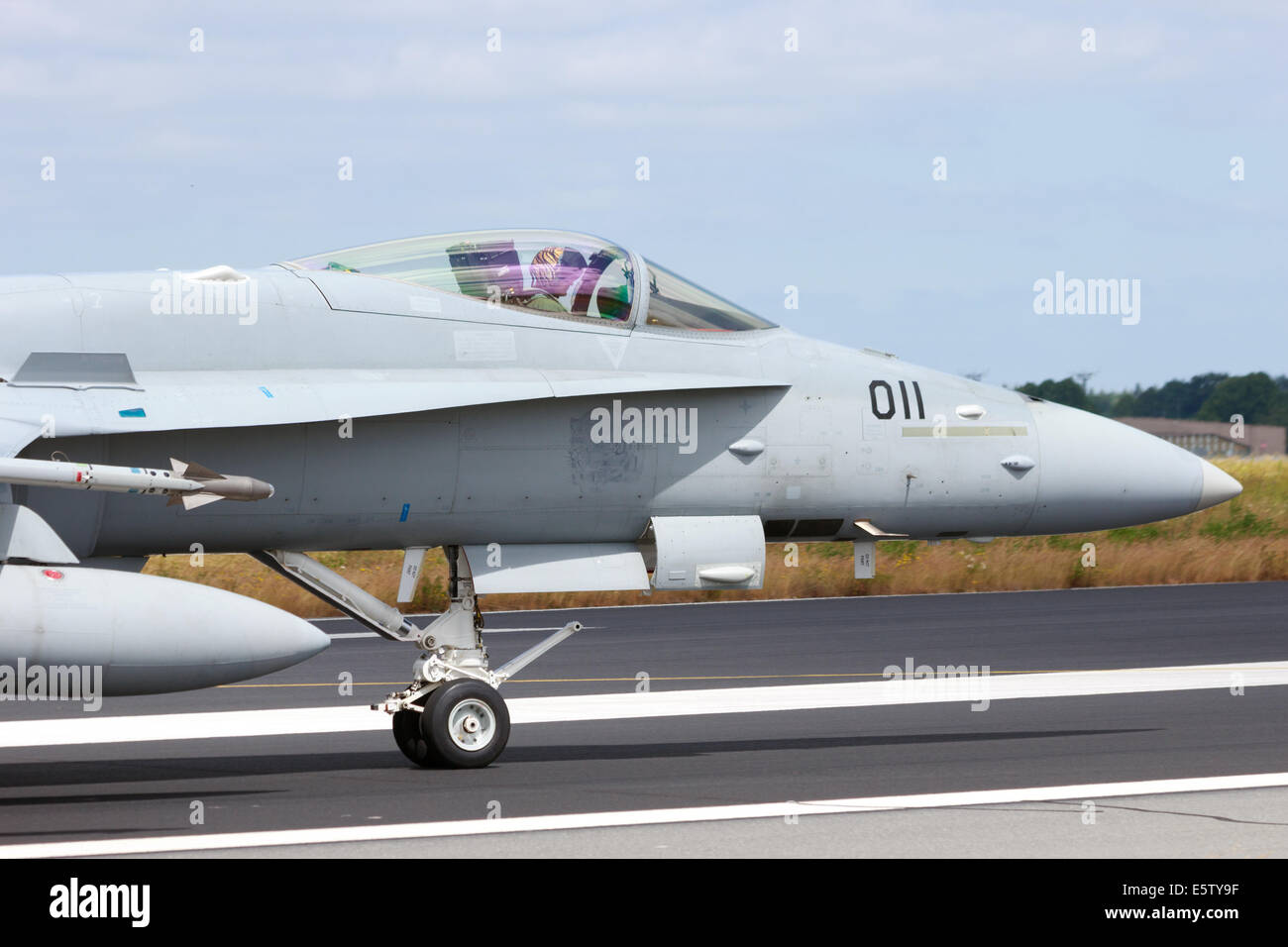 Schweizer Luftwaffe F/A - 18C Hornet bei der NATO Tigermeet am 23. Juni 2014 in Schleswig, Deutschland. Stockfoto