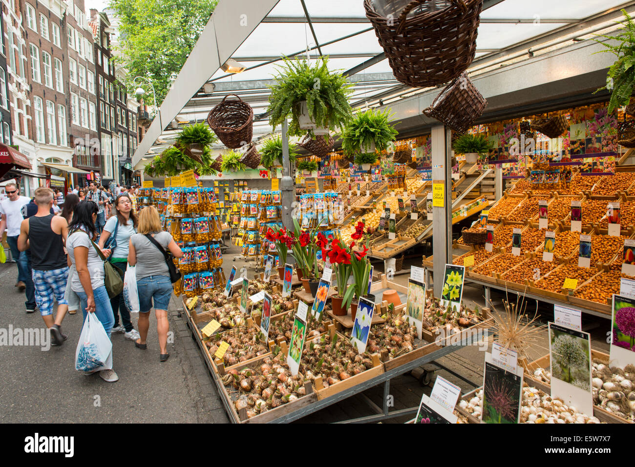 Flower Market, Amsterdam, Holland, Niederlande Stockfoto