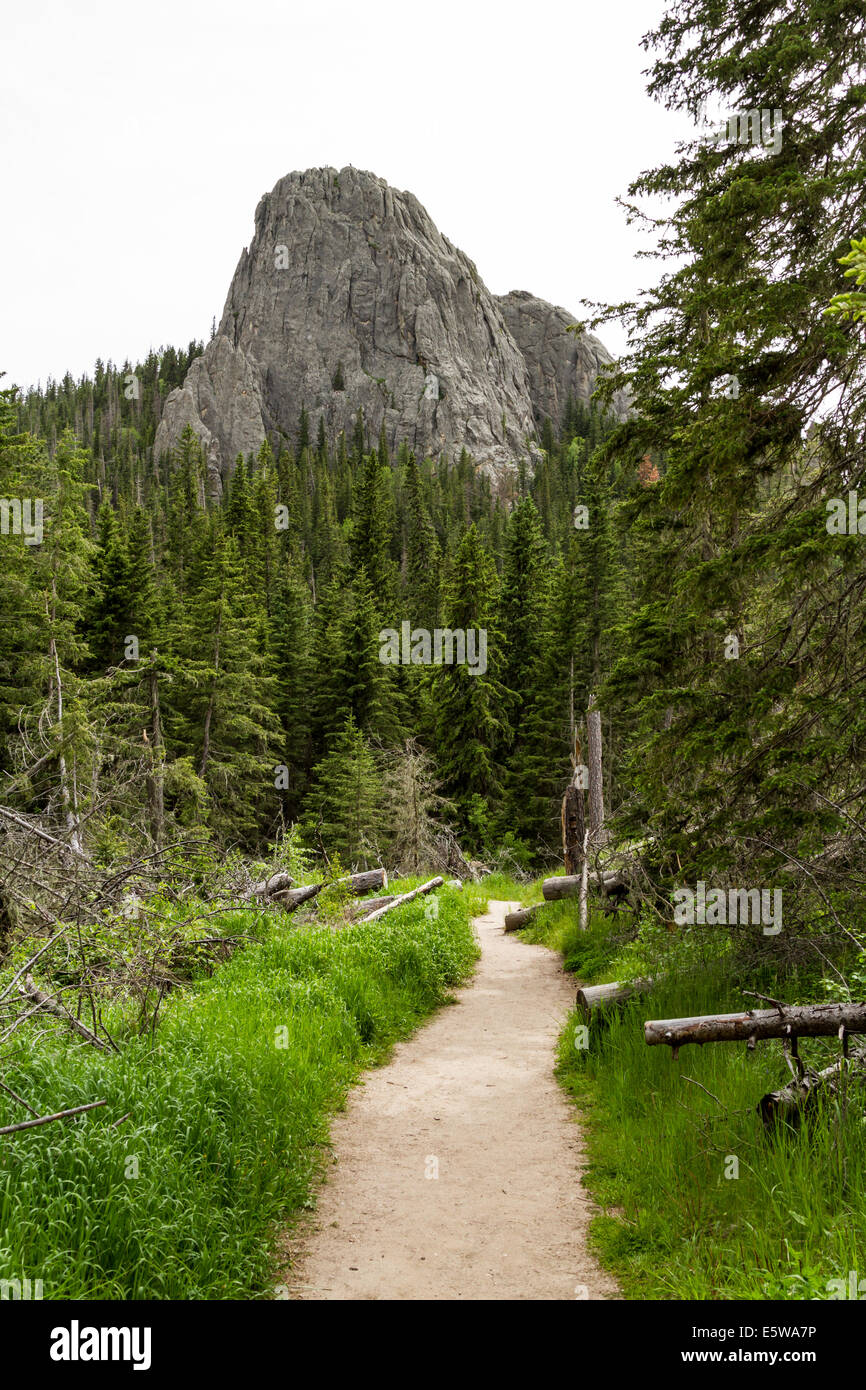 Wanderweg zum kleinen Teufels Turm im Custer State Park, South Dakota Stockfoto