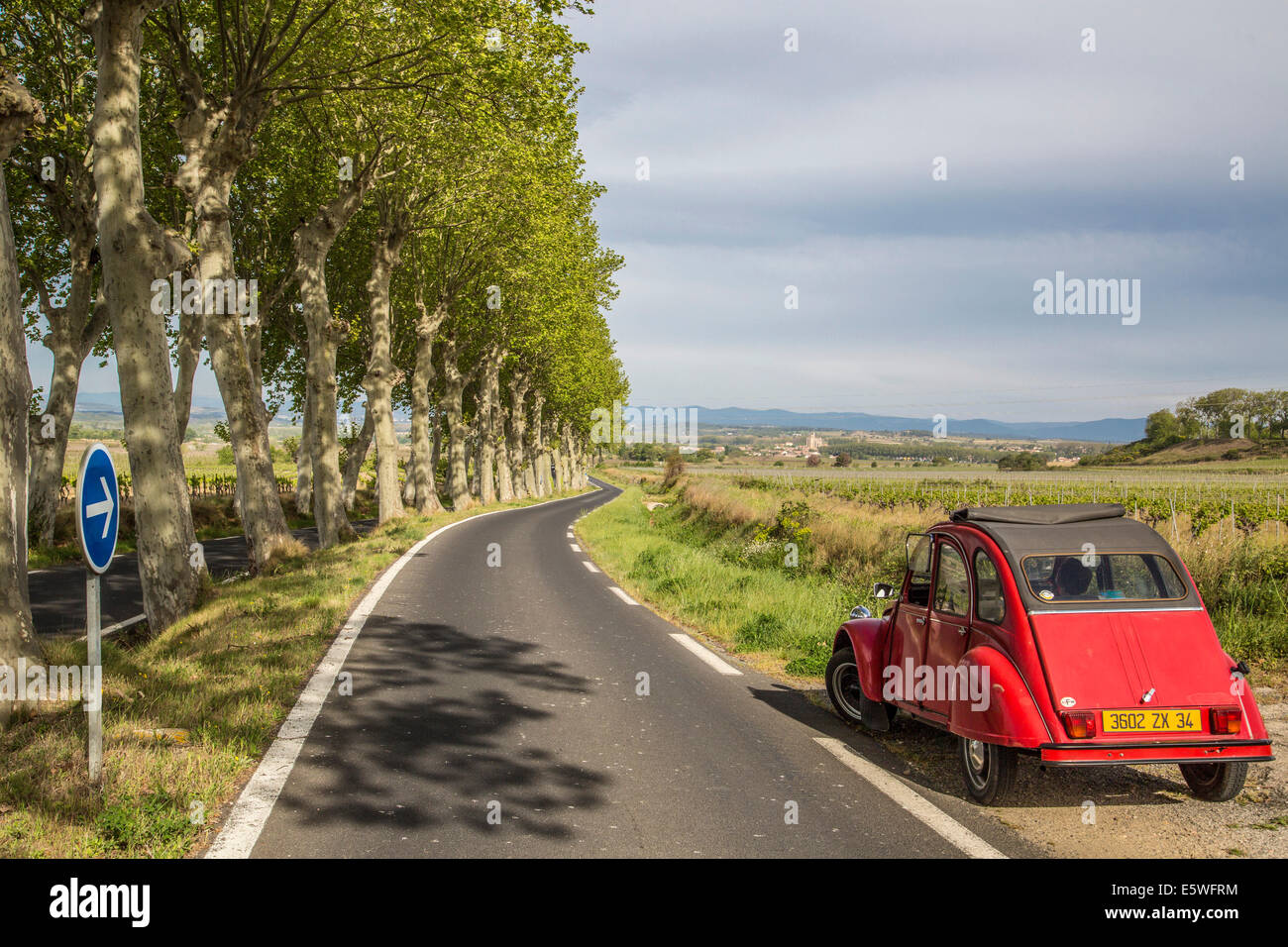Landstraße mit Platanen und einen roten Citroen 2CV, Poilhes, Languedoc-Roussillon, Frankreich Stockfoto