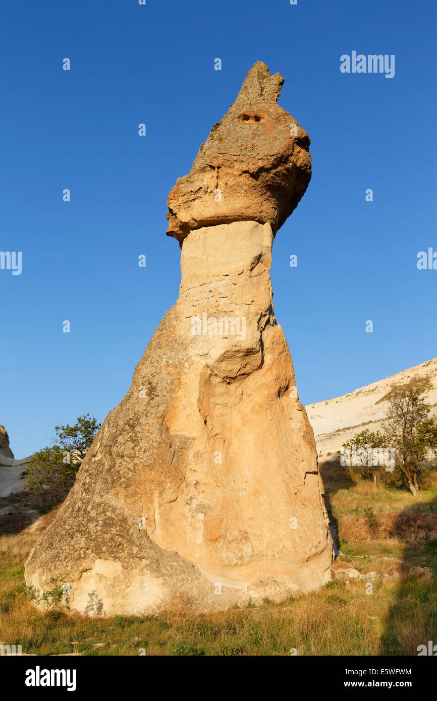 Fee Schornstein in Form einer Katze, Tuff Bildung, Tal der Mönche, Pasabagi, Goreme National Park, Cappadocia Stockfoto