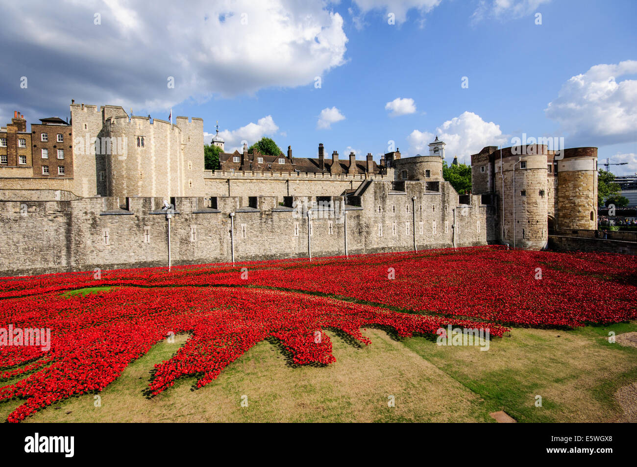 Ansicht der Tower of London mit Mohn. Stockfoto