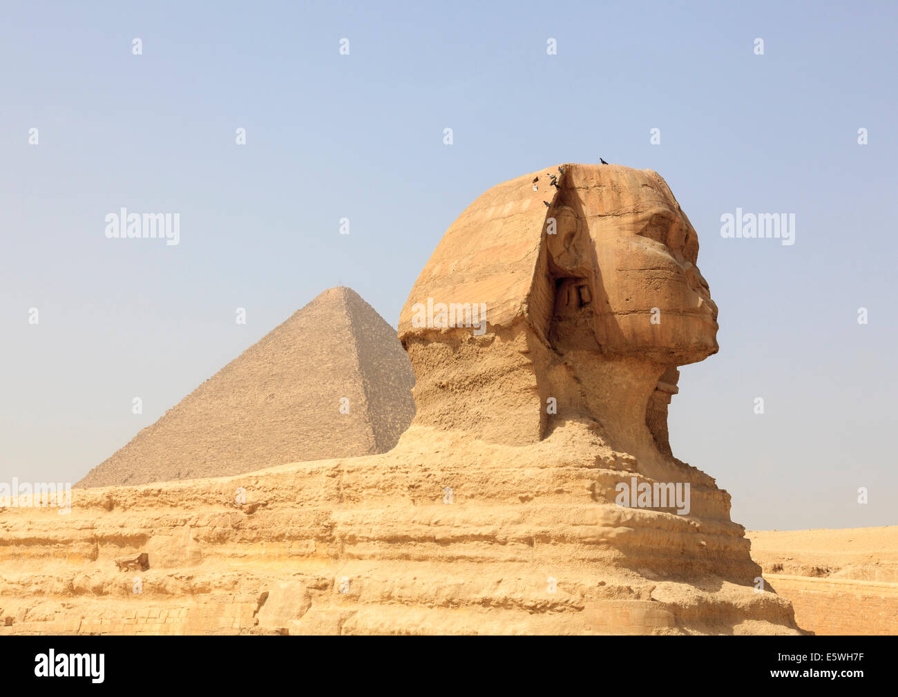 Die Sphinx von den Pyramiden von Gizeh in Kairo mit den Pyramiden im Hintergrund Stockfoto