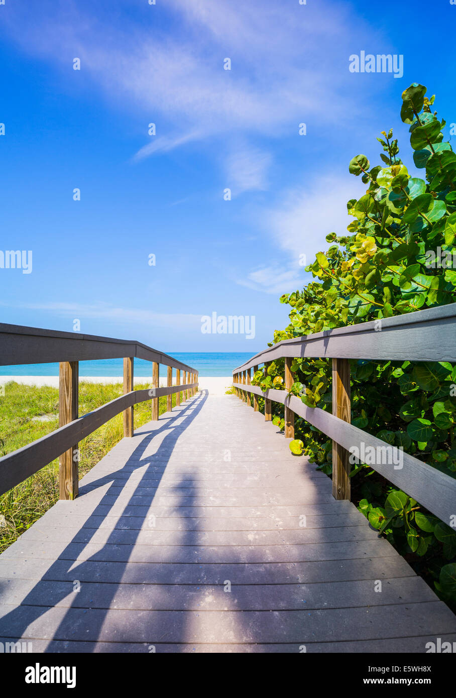 Holzsteg zum Ozean am Sunset Beach, Florida am Golf von Mexiko, USA Stockfoto