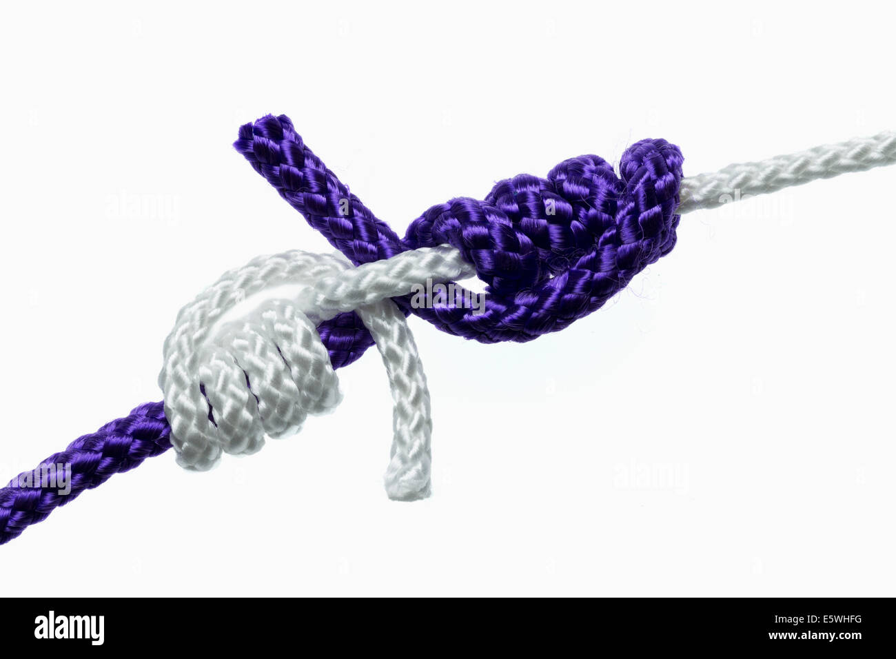 Eine Blut-Knoten - ein fisherman's Knoten verwendet, um ähnliche Arten von Linie oder Seil zusammen zu binden Stockfoto
