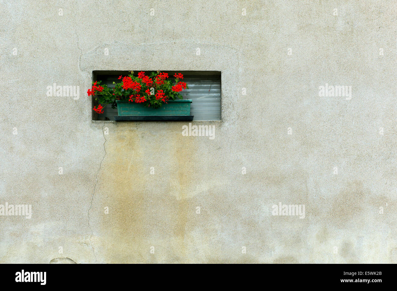 Blumen auf winzigen Fensterbank, alten Stadtmauer Stockfoto