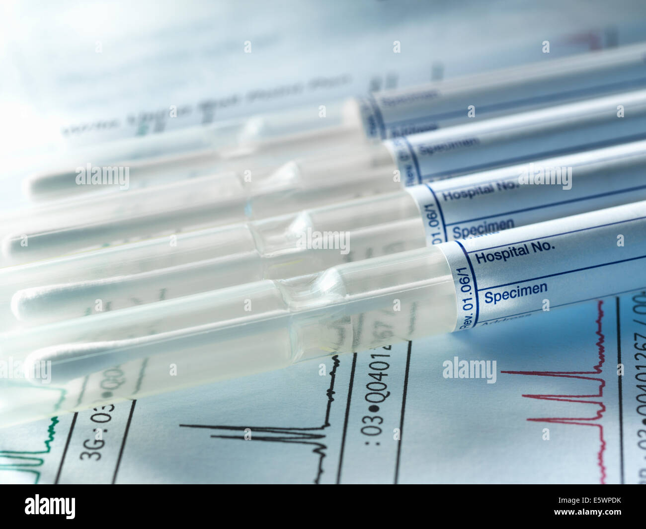 Eine Reihe von DNA-Proben von Familienmitgliedern für Vaterschaft genetisch getestet Stockfoto