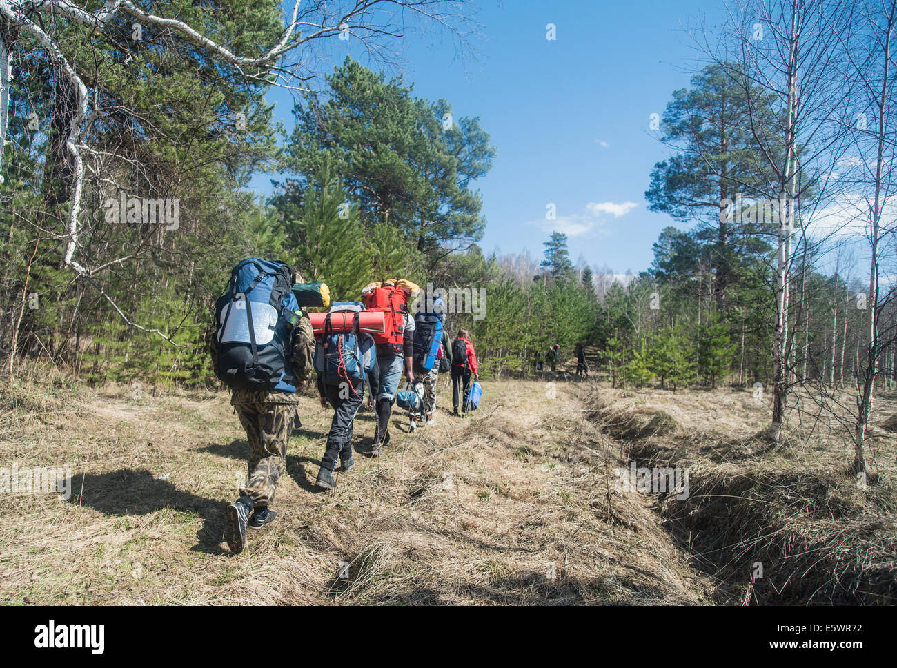 Rückansicht des jungen Wanderer mit Rucksäcken auf Waldweg Stockfoto