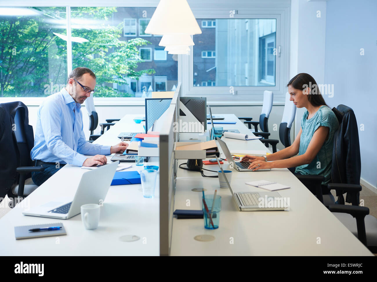 Kolleginnen und Kollegen arbeiten auf beiden Seiten der Schreibtisch partition Stockfoto