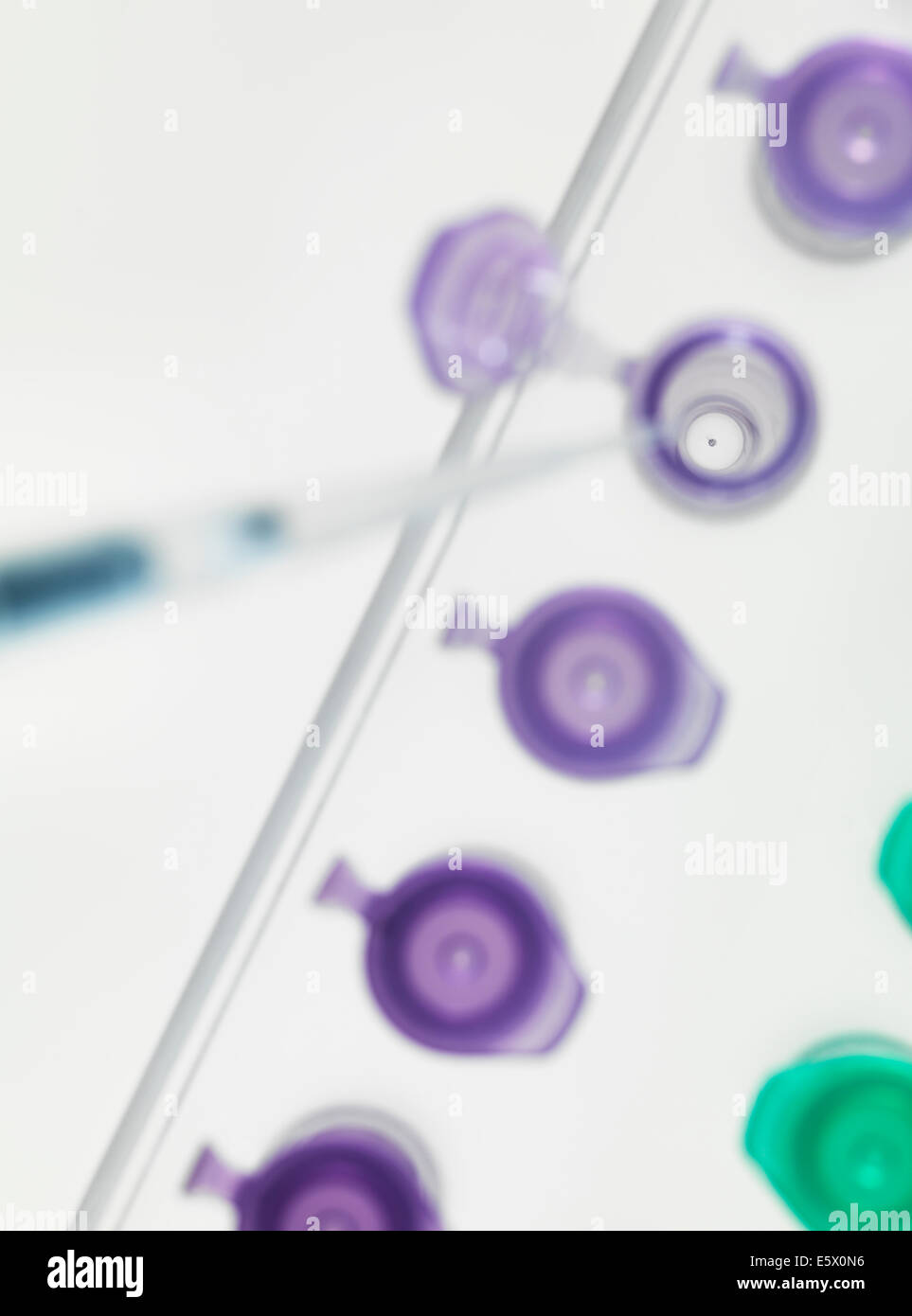 Pipettieren DNA-Probe in Mikrozentrifugenröhrchen Stockfoto