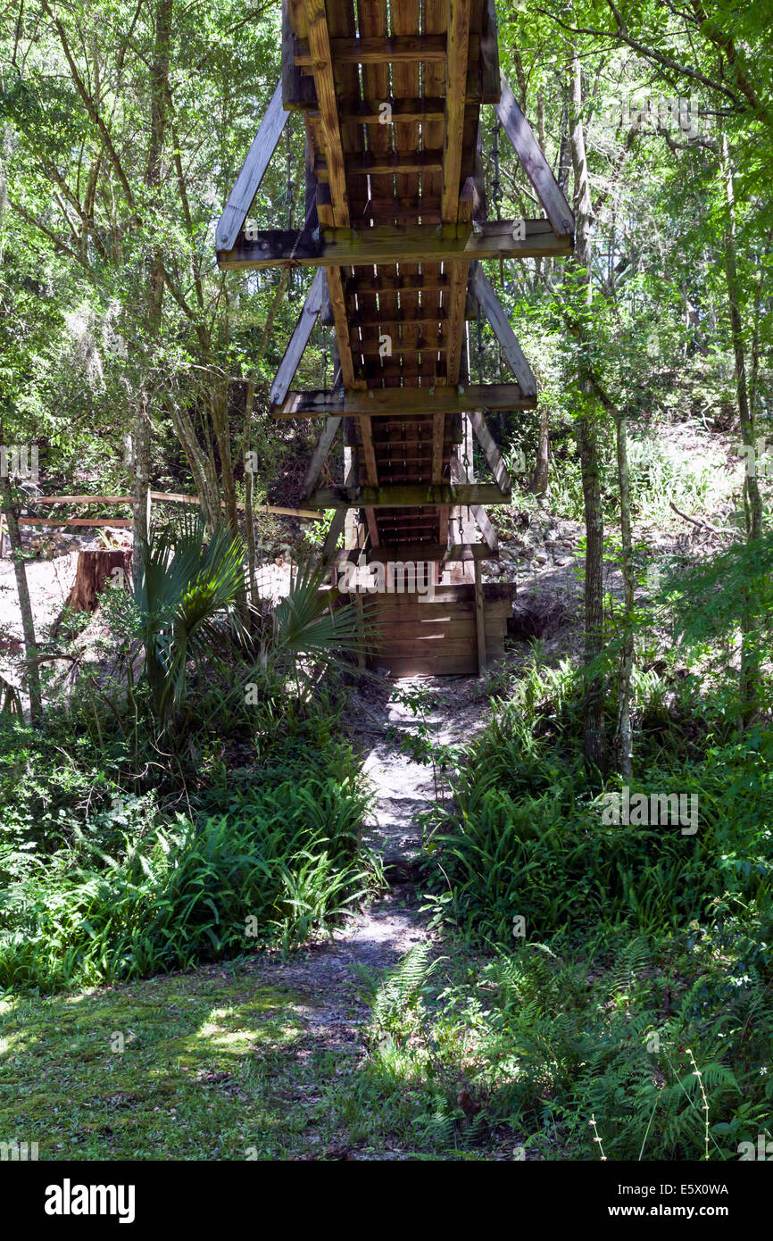 Unterseite des schweren Holz Fußgänger Fuß Hängebrücke über Schlucht der Schlucht Gardens State Park in Palatka, Florida USA Stockfoto