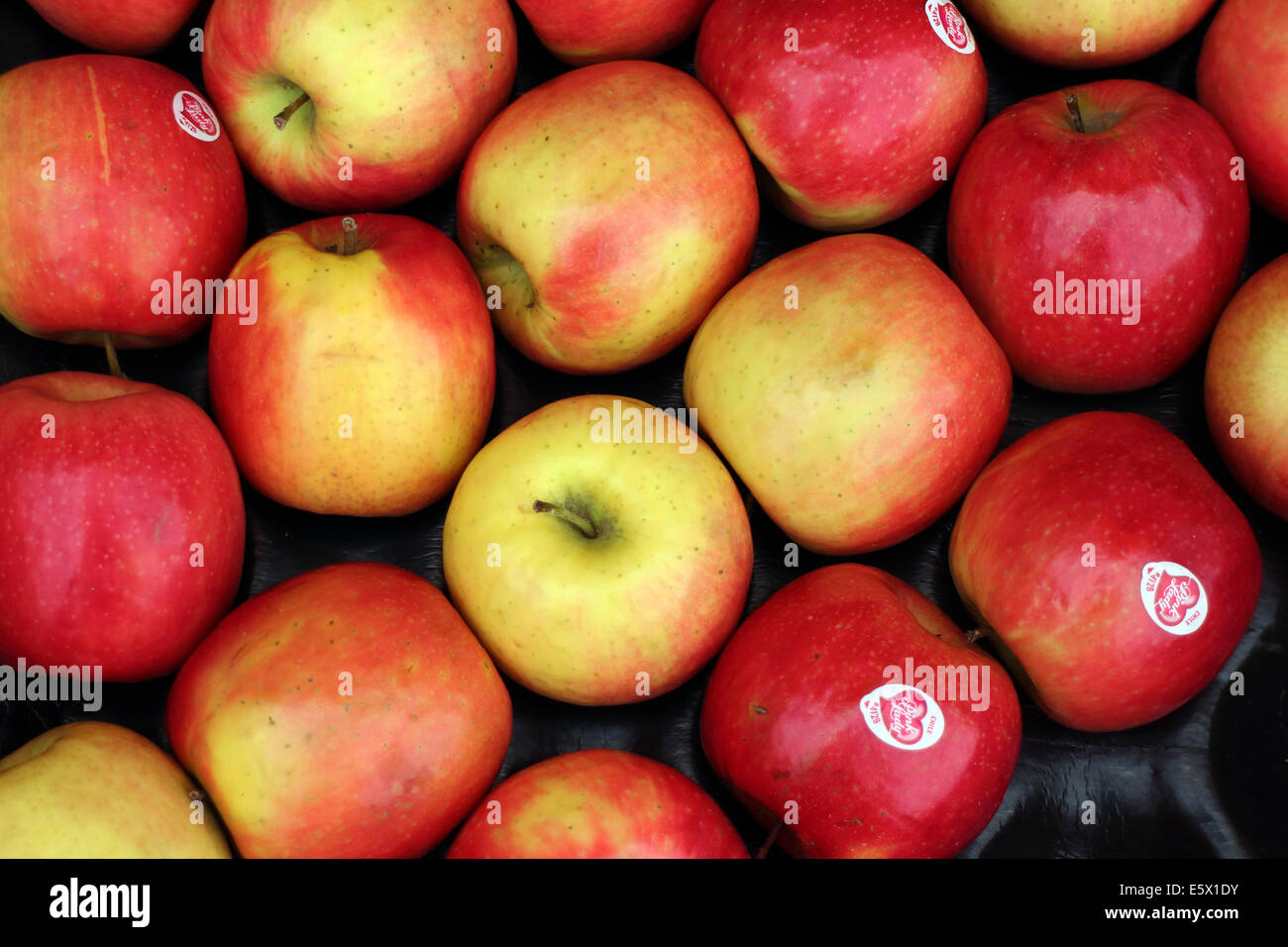 Pink Lady Äpfel Stockfoto